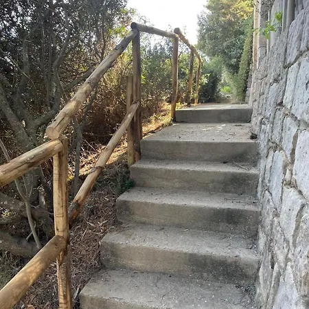 Fronte Mare, A 5-minute Walk From The Sea Βίλα *